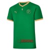 Oficiální Fotbalový Dres Palmeiras Copa Rio Domácí 70th Jubileum 2021-22 pro Muži